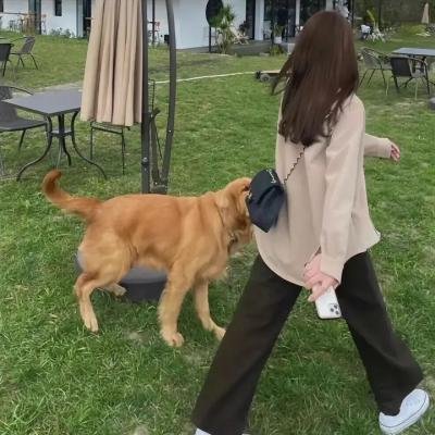 玛德琳姊妹