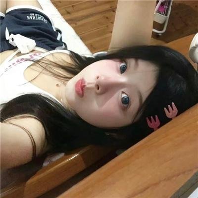 猫咪情缘